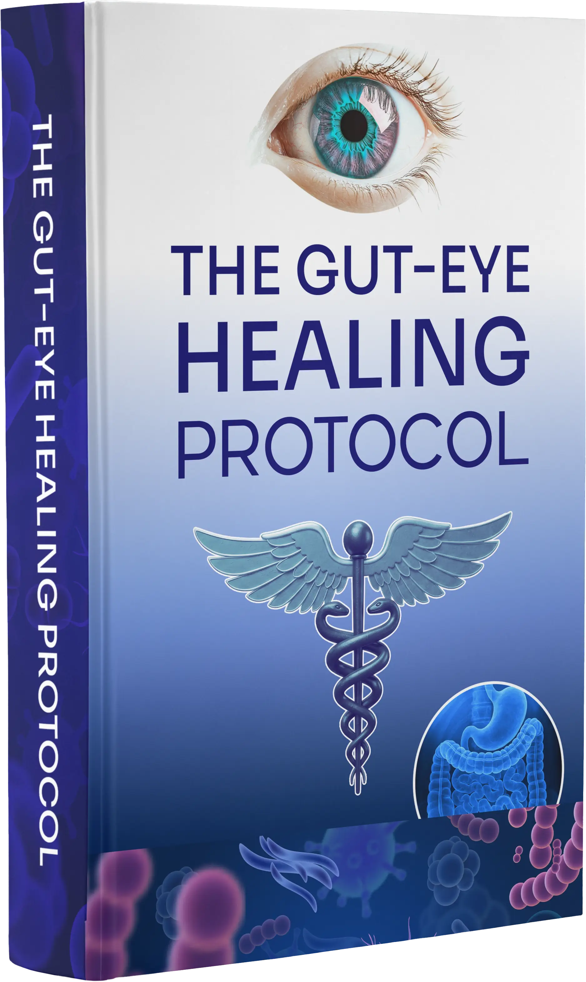 The Gut-Eye Healing Protocol bonus guide included with VisiFlora